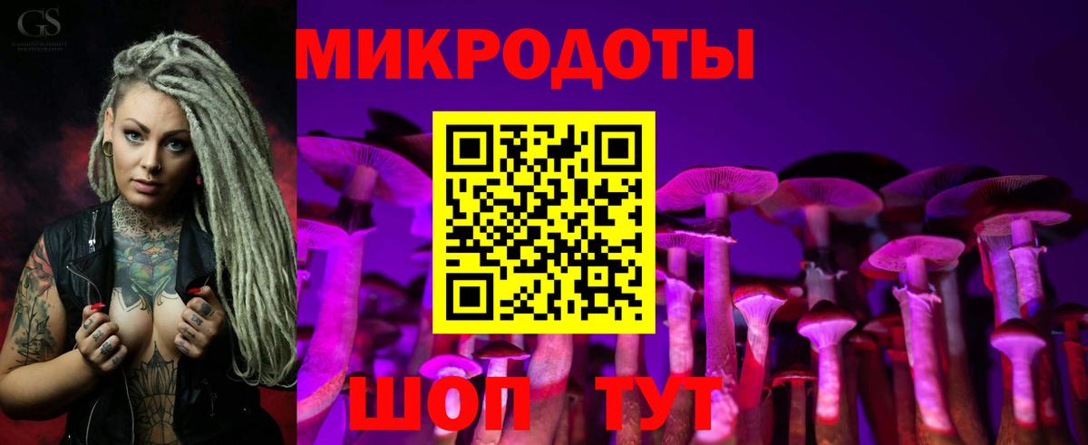 Псилоцибиновые грибы прущие грибы  Вход с VPN  Котлас  Галлюциногенные грибы Psilocybe 